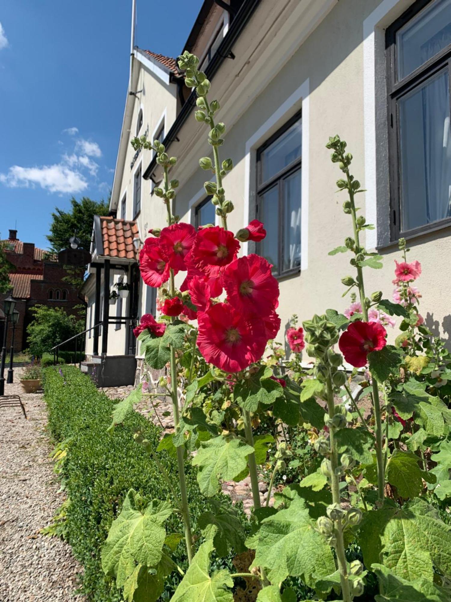 Hammenhoegs Gaestgivaregard Exterior photo